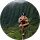 Сергей Бровинский profile picture
